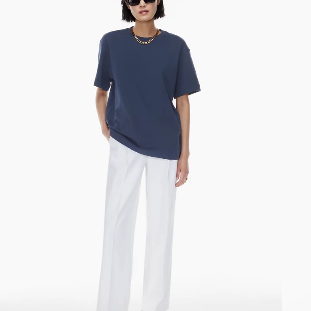Aritzia Babaton Pegasus T Shirt